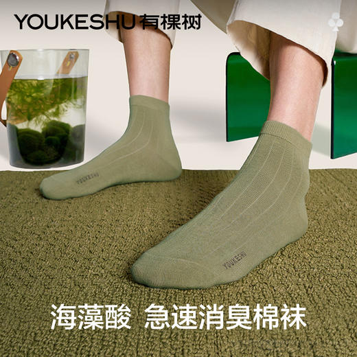 【海藻消臭】有棵树抗菌防臭棉质男士中筒袜5双装-S0011 商品图0