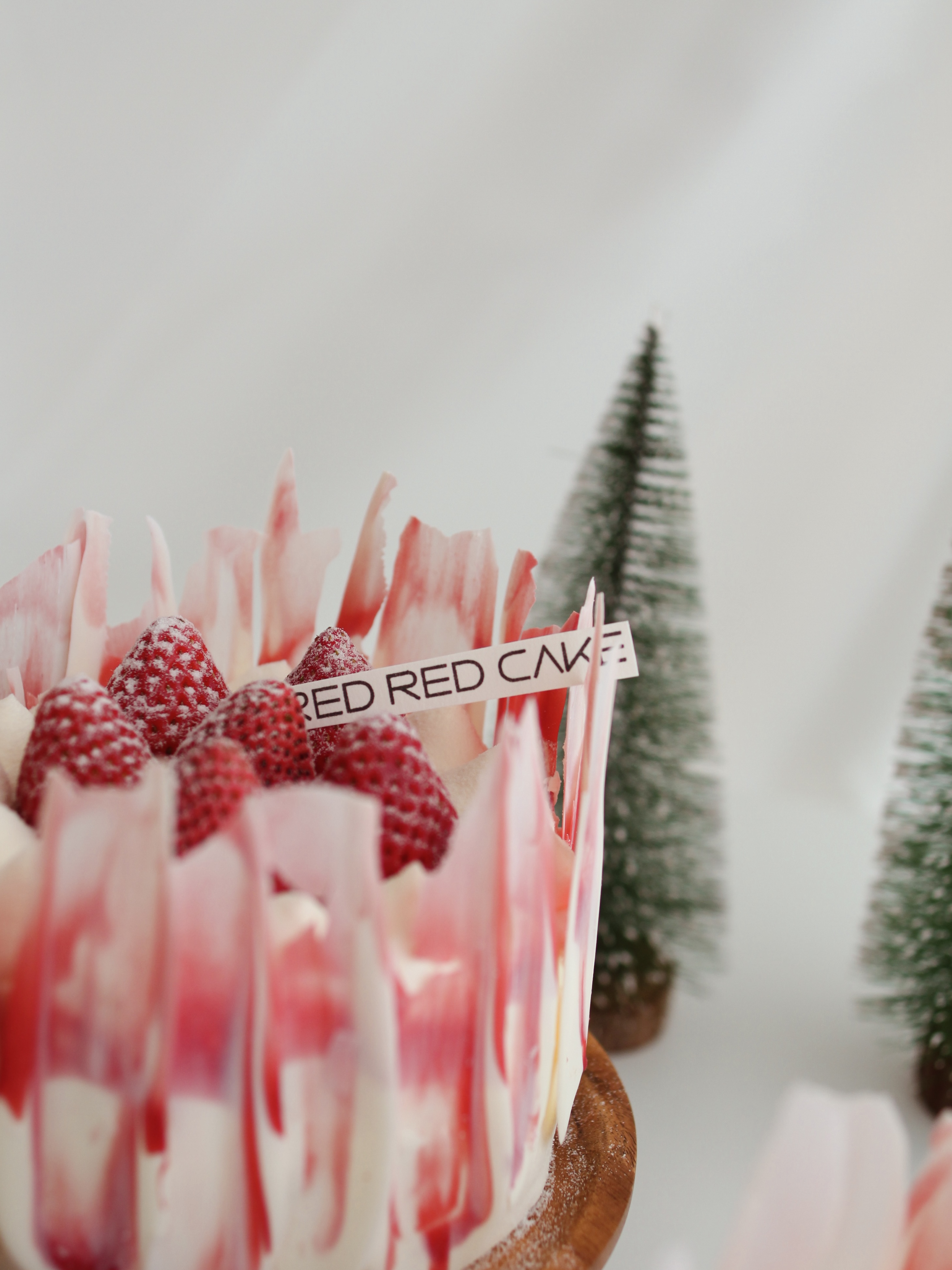 草莓华尔兹 Strawberry Waltz