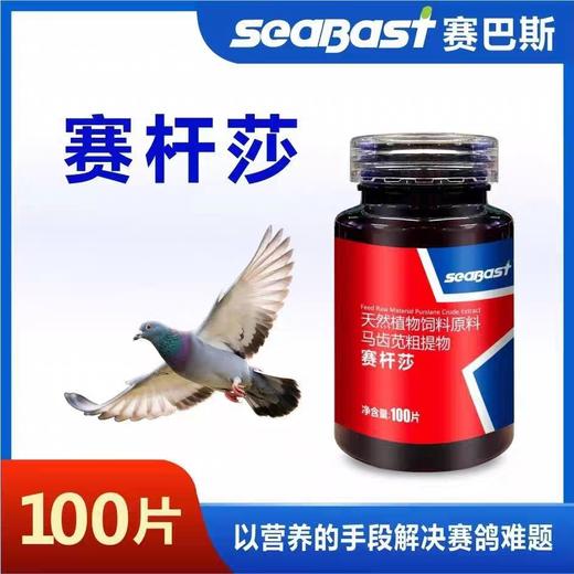 赛巴斯鸽药【赛杆莎片】调抗菌沙门氏菌大肠杆菌拉稀下痢鸽子黄白水绿便 商品图0