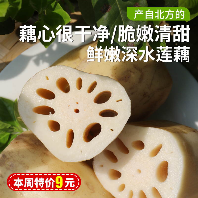 新鲜莲藕  密农人家深水莲藕  脆嫩清甜  藕香浓郁  新鲜带泥发货 400g