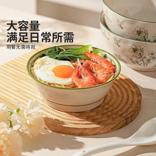 摩登主妇釉下彩汤碗家用面碗泡面碗2025新款高颜值碗餐具陶瓷大碗 商品图2