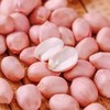 【SF】生花生米  优质花生现剥  当季新采，饱满鲜脆 商品缩略图2