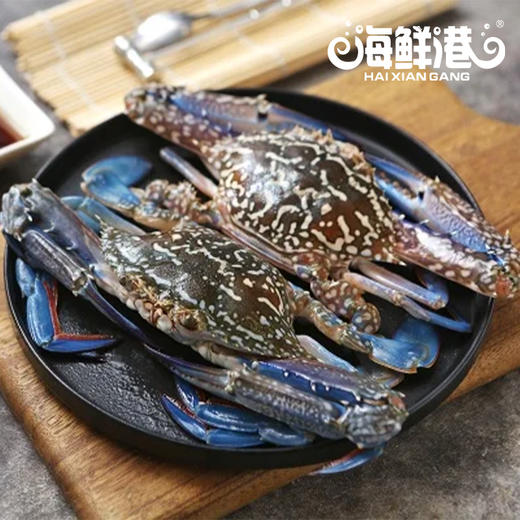 TY26年海鲜港1298型-功成名就【鲜知10.0】 商品图6