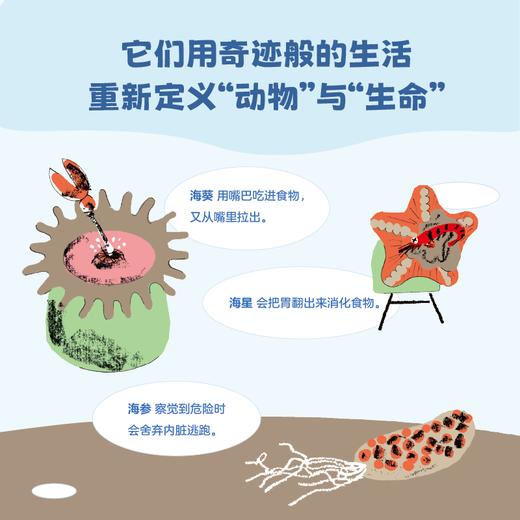 大海里的怪东西 商品图1