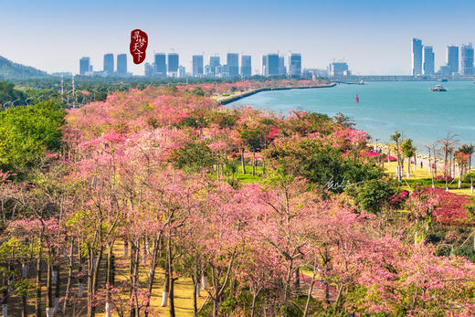 01月22日确定出发【魅力湾区】珠海天沐琴台、黄茅跨海大桥2天摄影之旅 商品图9