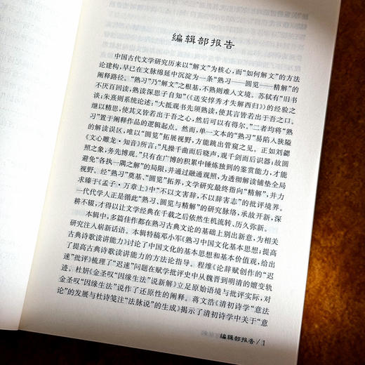 熟习、圆览与精解 古代文学理论研究第六十一辑 胡晓明 商品图7