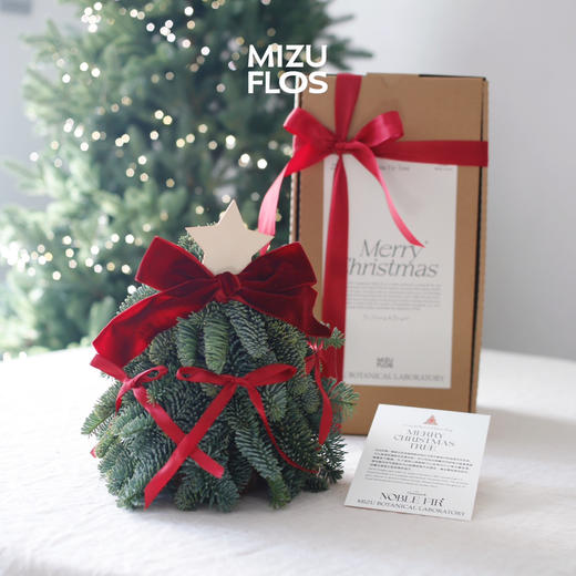 20cm丹麦诺贝松圣诞树（当日现货） 商品图0