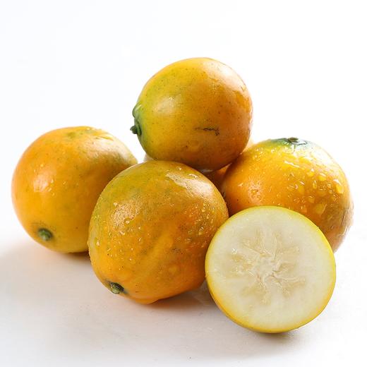 广西融安滑皮金桔蜜蛋中果2kg礼盒装(52-60粒/kg) 商品图5