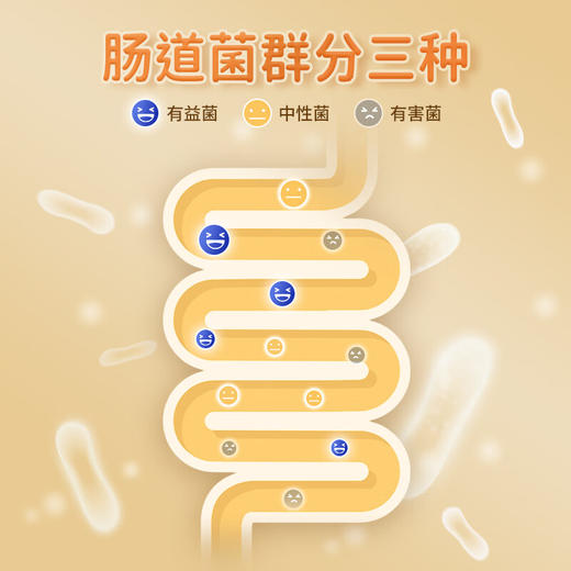 养乐多500亿活菌型乳酸菌乳饮品0蔗糖乳酸菌饮料 金瓶100ml*5瓶*4 商品图7