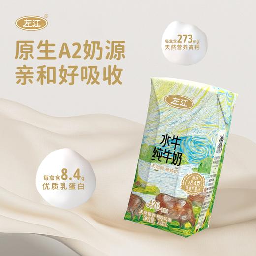 左江a2β-酪蛋白水牛纯牛奶 210ml*10盒 乳糖不耐受福音，营养好吸收 商品图9