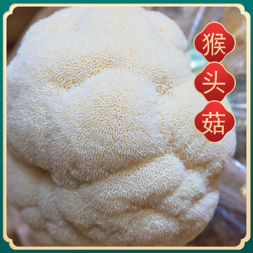 樟子松牌礼盒 商品图5