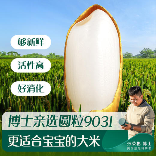 {新手宝妈必拍组合} 英氏婴幼儿米粉 面条 佐餐超值大礼包【下单送辅食体验包4件+注水保温碗】 商品图8