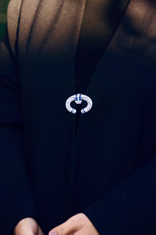 高定胸花【勋章】 商品图3