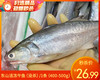 东山活冻午鱼（没杀）/1条（400-500g）生产日期：25年11月补单专用 商品缩略图0