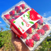尝鲜福利『攀枝花露天冬草莓』随珠草莓+粉玉草莓+香玉草莓，甜美细嫩，香软怡人，鲜灵莹润 商品缩略图2