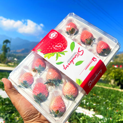 尝鲜福利『攀枝花露天冬草莓』随珠草莓+粉玉草莓+香玉草莓，甜美细嫩，香软怡人，鲜灵莹润 商品图5