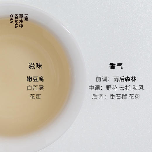 春野绒针·白毫银针 | 私房清饮系列 | 50g原叶 | 白茶类 商品图2