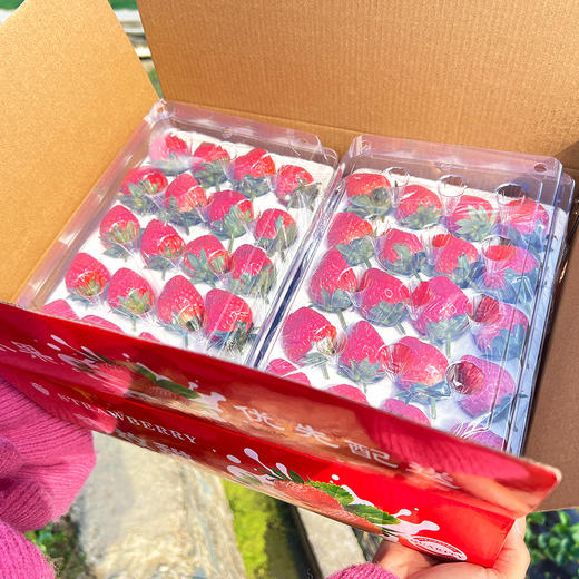 尝鲜福利『攀枝花露天冬草莓』随珠草莓+粉玉草莓+香玉草莓，甜美细嫩，香软怡人，鲜灵莹润 商品图11