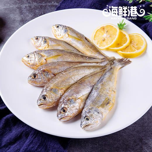 26年海鲜港898型-富贵盈门【ZXADZQ5.0】 商品图4