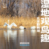 「已满团可候补 · 清明假期4.5」湿地观鸟趣 · 野鸭湖湿地公园单日亲子研学 商品缩略图0
