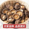 【QT】新货特产菌类新鲜直供香菇干货 商品缩略图0