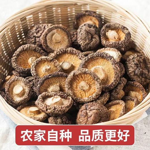 【QT】新货特产菌类新鲜直供香菇干货 商品图0