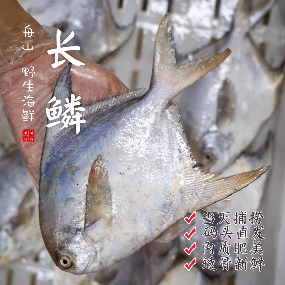 【闹妈海鲜】[热气]舟山新鲜长鳞鲳鱼 各种规格 按条卖