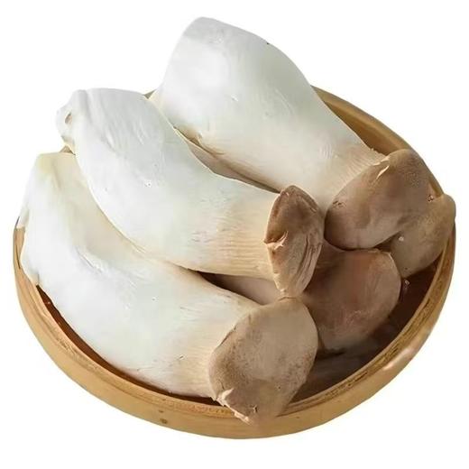 【SF】新鲜杏鲍菇  农家种植肉厚脆嫩 烧烤油炸炒菜皆可 商品图3
