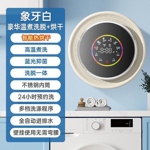 全自动滚筒壁挂内衣内裤专用洗脱烘一体机迷你双仓双桶洗衣机 商品图0
