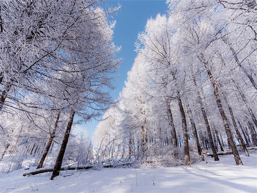 【崇礼三梁徒步1日】大鹰梁-喜鹊梁15公里徒步穿越 商品图7