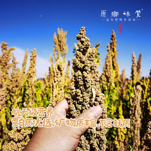 高原生态藜麦（成都仓库-顺丰快递）| 500g/袋，来自青海香日德，生产者：张德路【合作生产，公平贸易】 商品图1