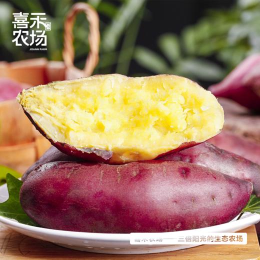 喜禾农场海南桥头地瓜 5斤装2-4个 | 一口粉糯香甜、满口自然栗香、粉而不噎、粗粮代餐之选 商品图4