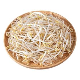 【ZCWJ】新鲜清水泡发绿豆芽