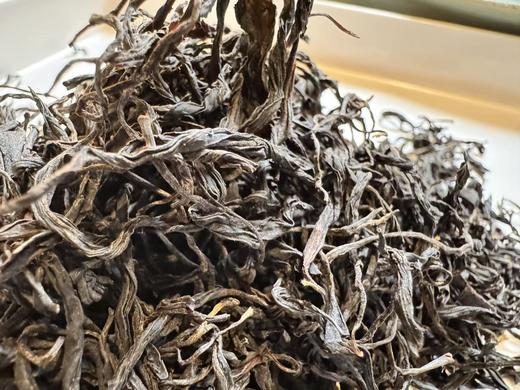 2025春 百年老枞小赤甘   枞味清爽  青苔味清凉  顶货小种   桐木关桃窠 100克起 商品图1