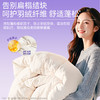 净狮真丝羊毛洗衣液1和羽绒服洗衣液组合链接 商品缩略图7