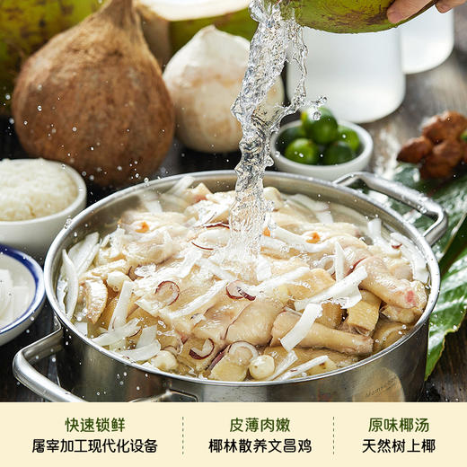 海南椰子鸡   椰林散养180天汤汁鲜香清甜 肉质紧实爽口 包含鸡肉+椰子水+配料+蘸料 简单易上手 预售7天 商品图4