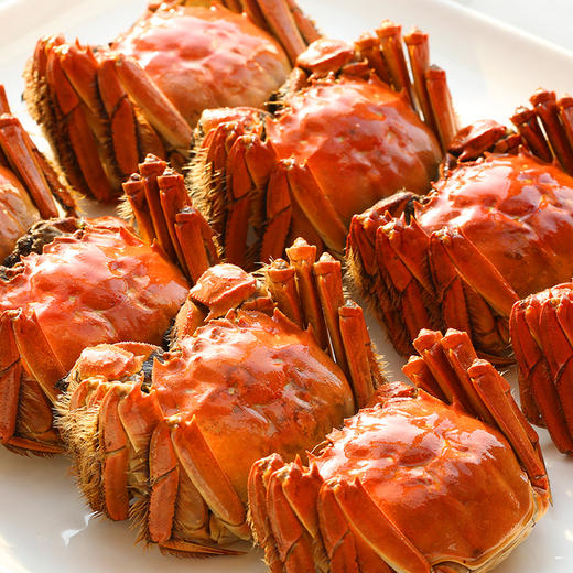 【自营】泗洪大闸蟹8只装 商品图7