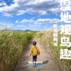 「端午假期」湿地观鸟趣 · 野鸭湖湿地公园观鸟行 商品缩略图0
