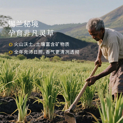 枕草子柠檬香茅精油 打开安心结界身心活力满满 商品图3