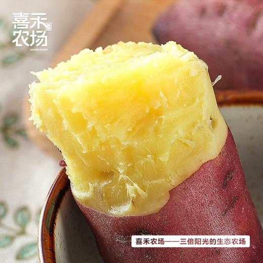喜禾农场海南桥头地瓜 5斤装2-4个 | 一口粉糯香甜、满口自然栗香、粉而不噎、粗粮代餐之选 商品图2
