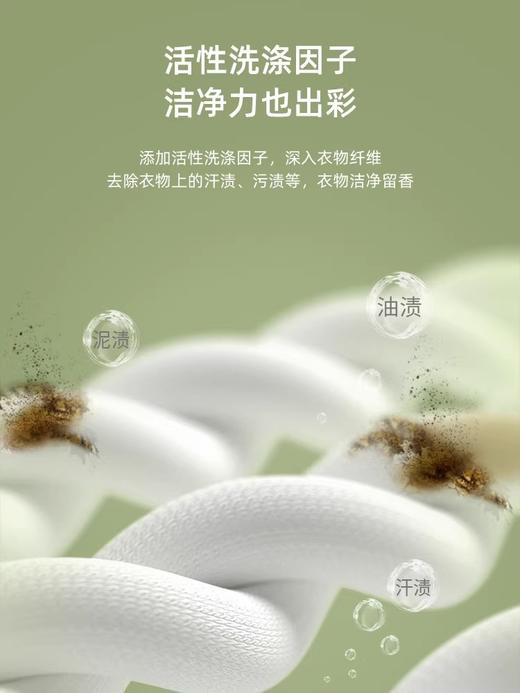 植护 香水/除菌留香/沁甜香氛洗衣皂液2kg/瓶 1瓶 商品图6