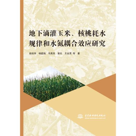 地下滴灌玉米、核桃耗水规律和水氮耦合效应研究 商品图0