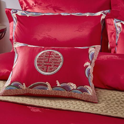 恐龙家纺XX 【锦绣良辰】涤棉染色+绣花婚庆八件套（线下专柜款） 商品图2