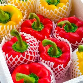 山东水果灯笼彩椒【2种颜色拼装】