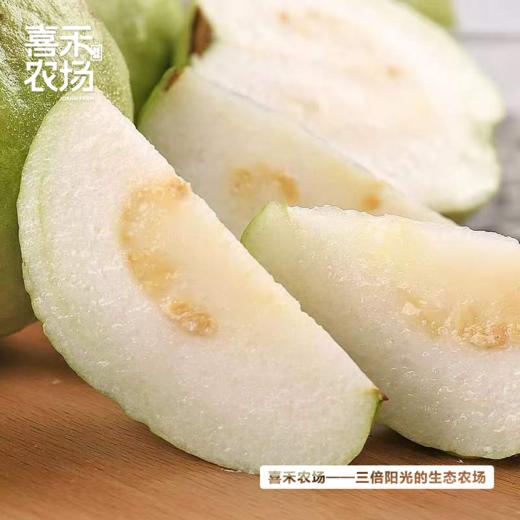 喜禾农场红心芭乐+白心芭乐混合5斤装 商品图3