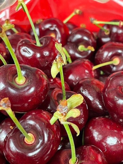 S顺丰包邮！进口智利桑提娜车厘子2J-4J*1斤/2斤/3斤/5斤 商品图7