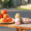 养乐多500亿活菌型乳酸菌乳饮品0蔗糖乳酸菌饮料 金瓶100ml*5瓶*4 商品缩略图5