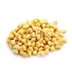 【ZCWJ】新鲜清水泡发黄豆嘴