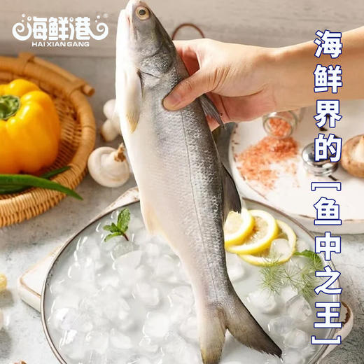 TY26年海鲜港1298型-功成名就【鲜知10.0】 商品图1