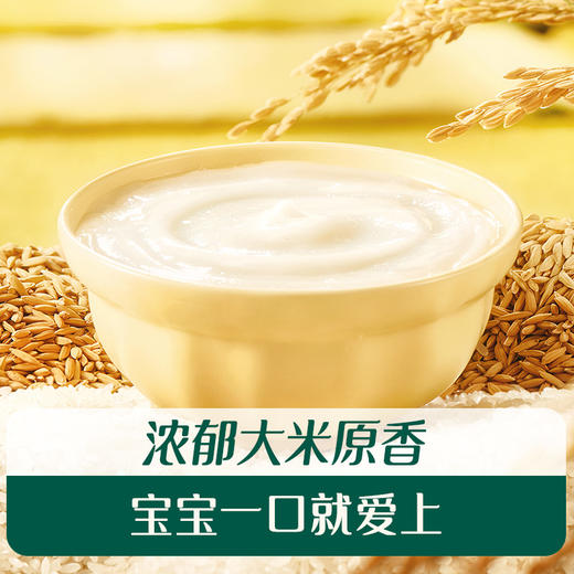 英氏有机五常大米米粉248g（维C加铁原味/维D加铁草莓苹果味/番茄牛肉加锌味） 商品图3